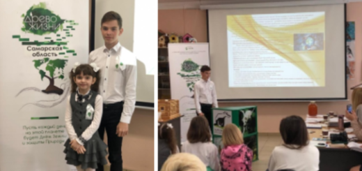 ГБОУ СОШ №2 г. Сызрани | Подведены итоги окружного конкурса исследовательских и  проектных работ младших школьников 