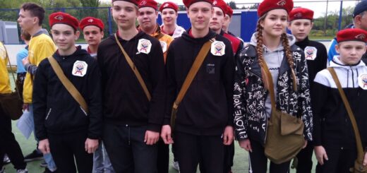 ГБОУ СОШ №2 г. Сызрани | Итоги школьного этапа           ВСИ ШСК