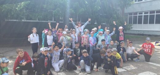 ГБОУ СОШ №2 г. Сызрани | Награждение лучших вожатых  летнего пришкольного лагеря «Муравейник»