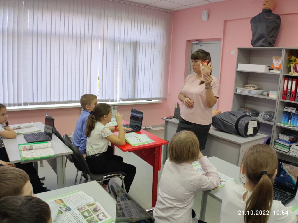 ГБОУ СОШ №2 г. Сызрани | Урок-практикум по окружающему миру во 2-б классе по теме 