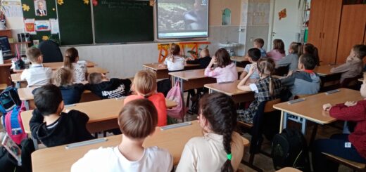 ГБОУ СОШ №2 г. Сызрани | Мероприятия, посвященные Параду памяти: Дорогой победы