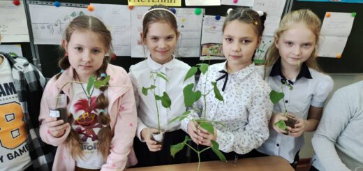 ГБОУ СОШ №2 г. Сызрани | Международный молодежный конкурс социальной антикоррупционной рекламы «Вместе против коррупции!»