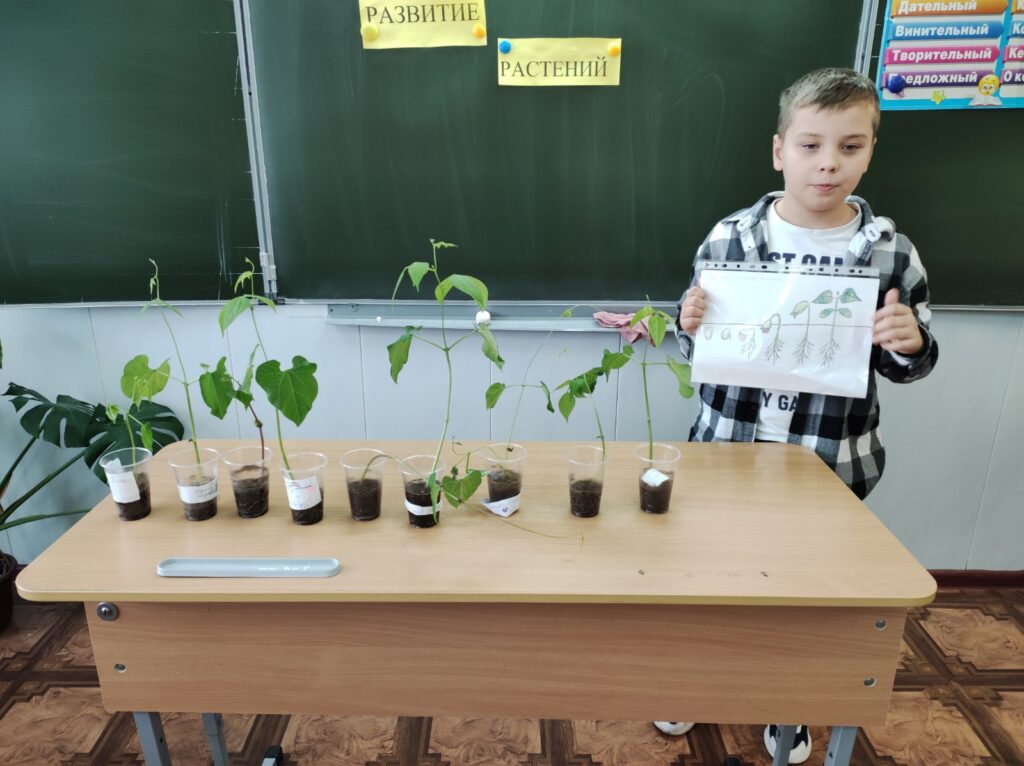 ГБОУ СОШ №2 г. Сызрани | Защита проектов по теме: 