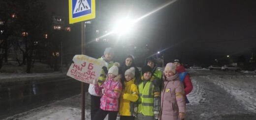 ГБОУ СОШ №2 г. Сызрани | Экологический урок