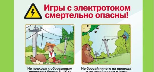 ГБОУ СОШ №2 г. Сызрани | Информационная справка о проекте «Чтецкие программы» Российского общества 