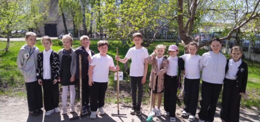 ГБОУ СОШ №2 г. Сызрани | Конкурс рисунков 