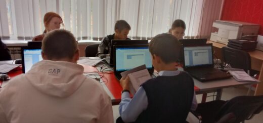 ГБОУ СОШ №2 г. Сызрани | Реализация проекта 