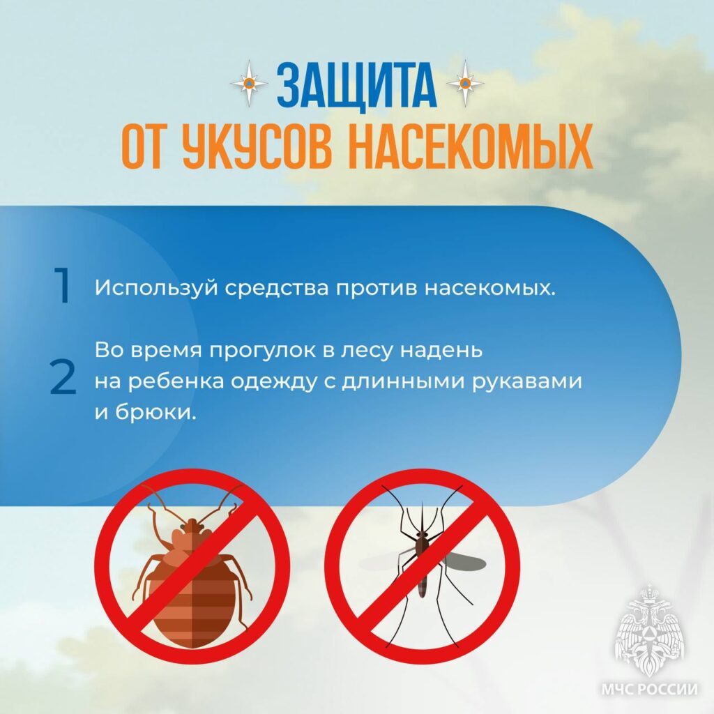 ГБОУ СОШ №2 г. Сызрани | Безопасность детей в летний период (МЧС России)